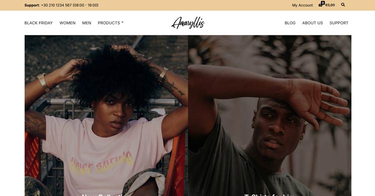 Download Amaryllis WooCommerce WordPress Theme Now!