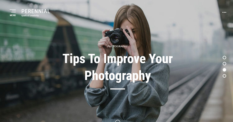 Download Perennial WordPress Blogging Theme Now!