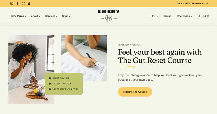 Download Emery Kadence Child Food Blog Theme Now!