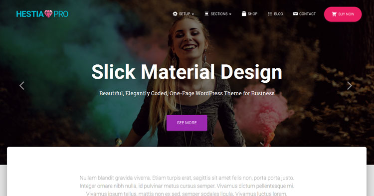 Download Hestia Pro Theme Now!