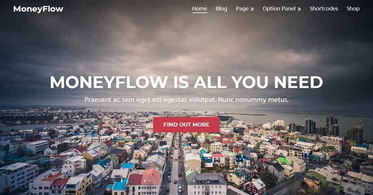 Download MoneyFlow WordPress Theme Now!