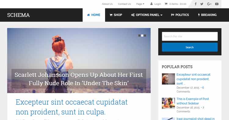 Download Schema SEO Ready WordPress Theme Now!