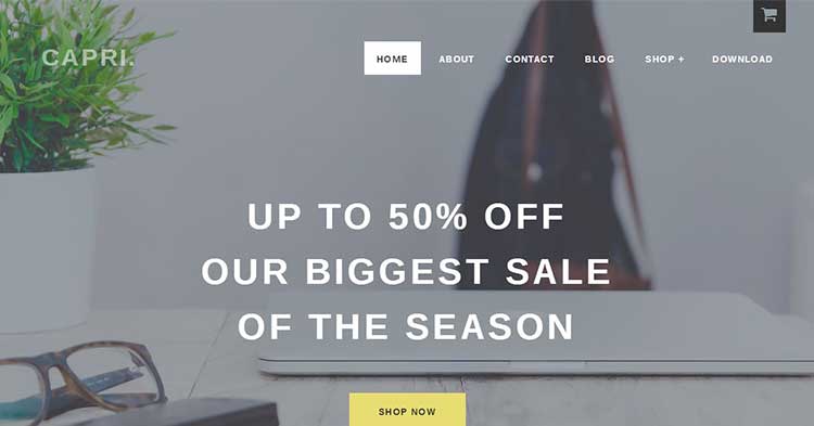Download Capri Pro eCommerce WordPress Theme Now!