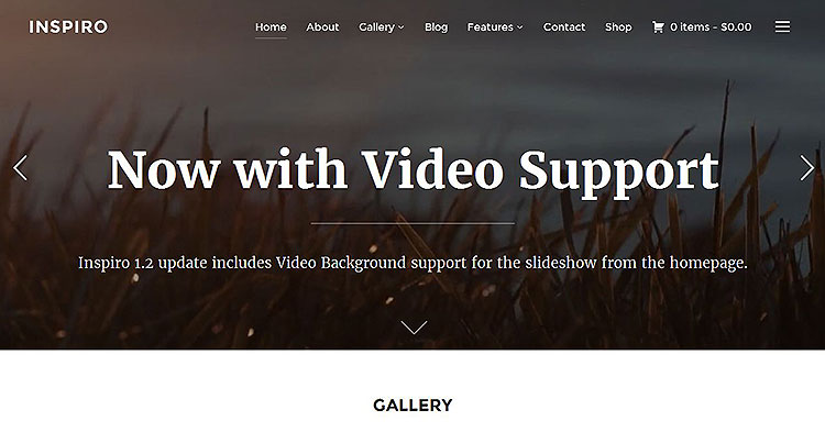 Download Inspiro Photography WordPress Theme Now!