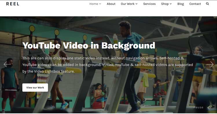 Download Reel Video Portfolio Theme Now!