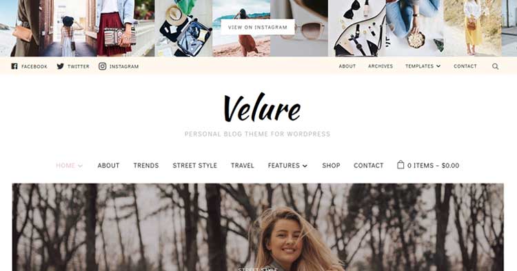 Download Velure Fashion Magazine Theme Now!