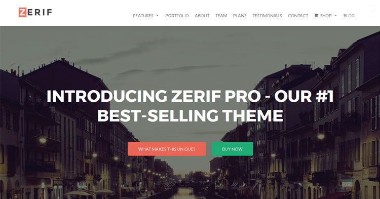 Download Zelle Pro (Zerif Pro) Theme For WordPress Now!